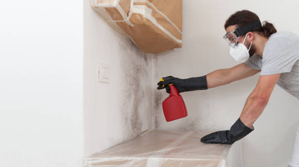 Professional Attic Mold Remediation technician working in Lakewood, NJ