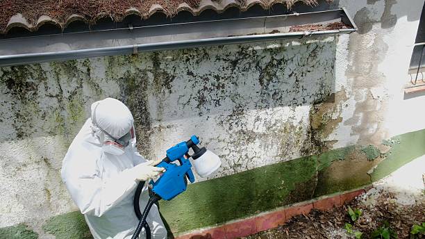 Top rated local Attic Mold Remediation specialists in Lakewood, NJ
